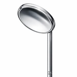 Detachable Chrome Showerhead
