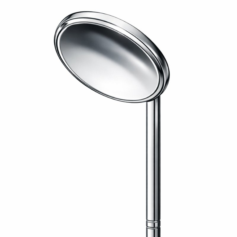 Detachable Chrome Showerhead Detachable Chrome Showerhead