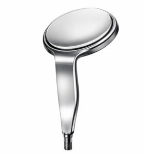 Rounded Chrome Showerhead