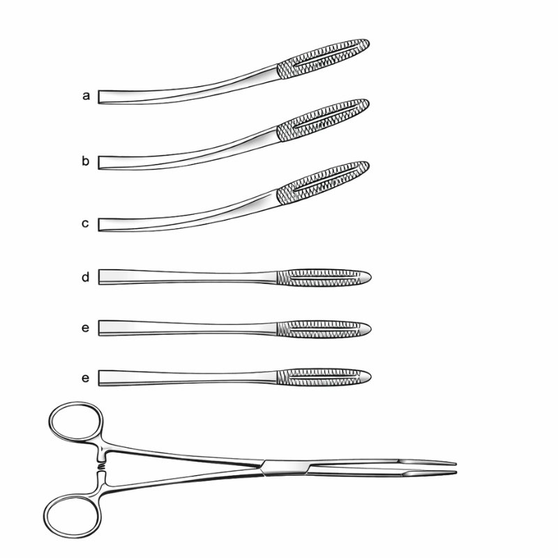 Multi Curve Sponge Forceps Multi Curve Sponge Forceps