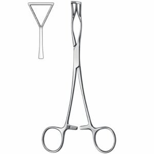 Clinical Cardiac Dilator System