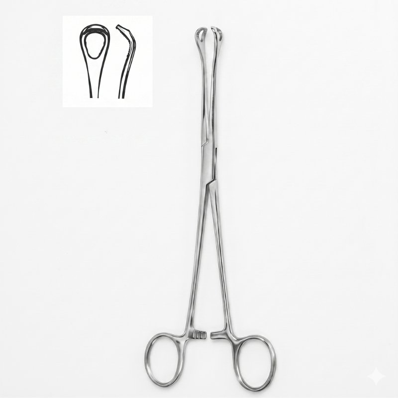 Curved Gall Stone Forceps Curved Gall Stone Forceps