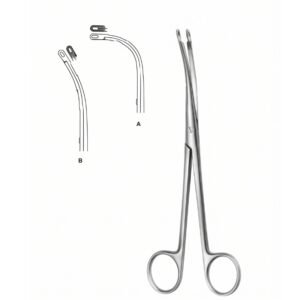 Delicate Kidney Extraction Forceps