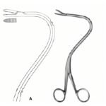 Percutaneous Nephrostomy Access Forceps