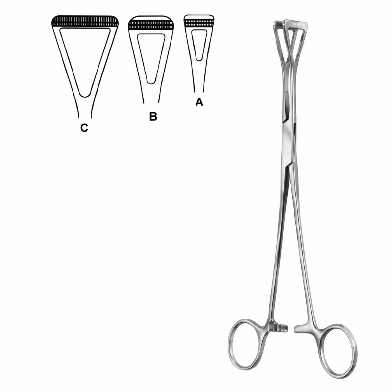 Scheibe Organ Grasping Forceps Scheibe Organ Grasping Forceps