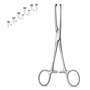 Standard Tissue Holding Forceps
