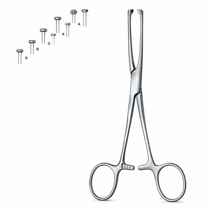 Standard Tissue Holding Forceps Standard Tissue Holding Forceps