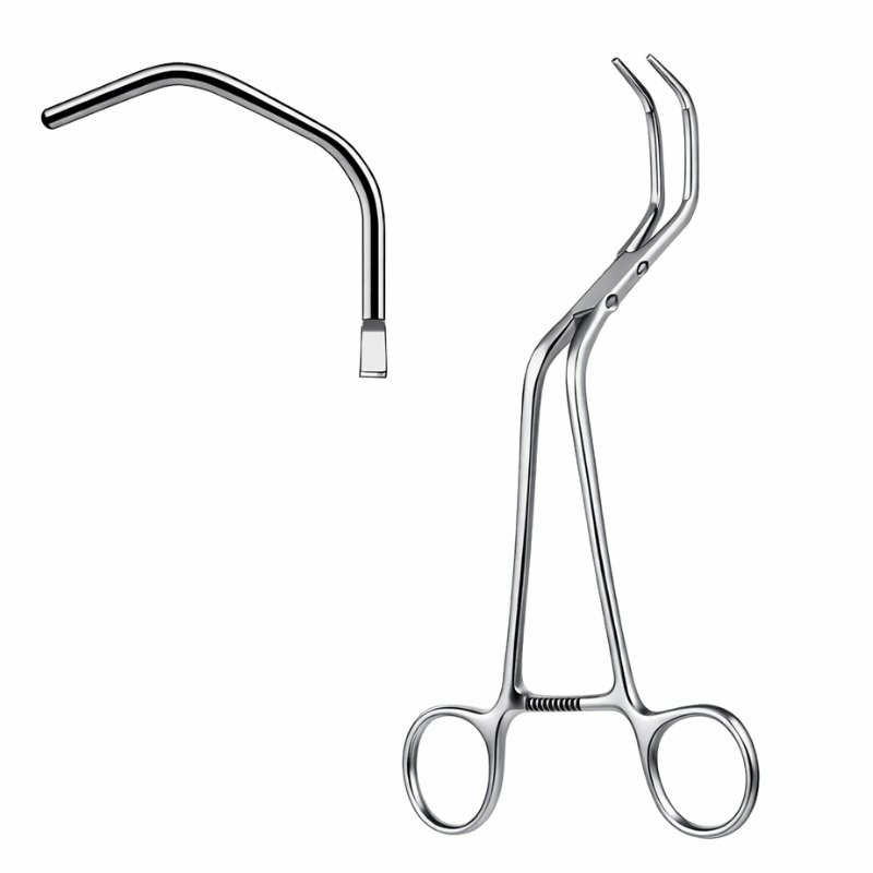 Surgical Thoracic Holder System Surgical Thoracic Holder System