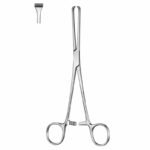 Thoms Allis Tissue Forceps