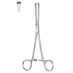 Thoms Allis Tissue Forceps