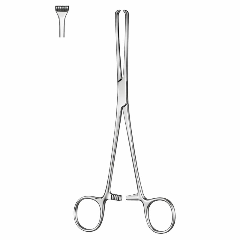 Thoms Allis Tissue Forceps Thoms Allis Tissue Forceps